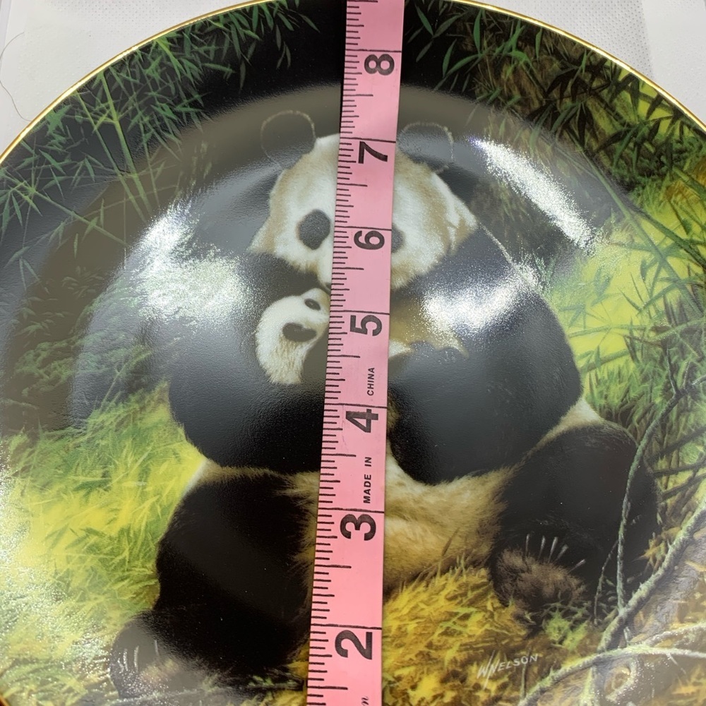The Panda Collection Plate - Picture 5 of 9